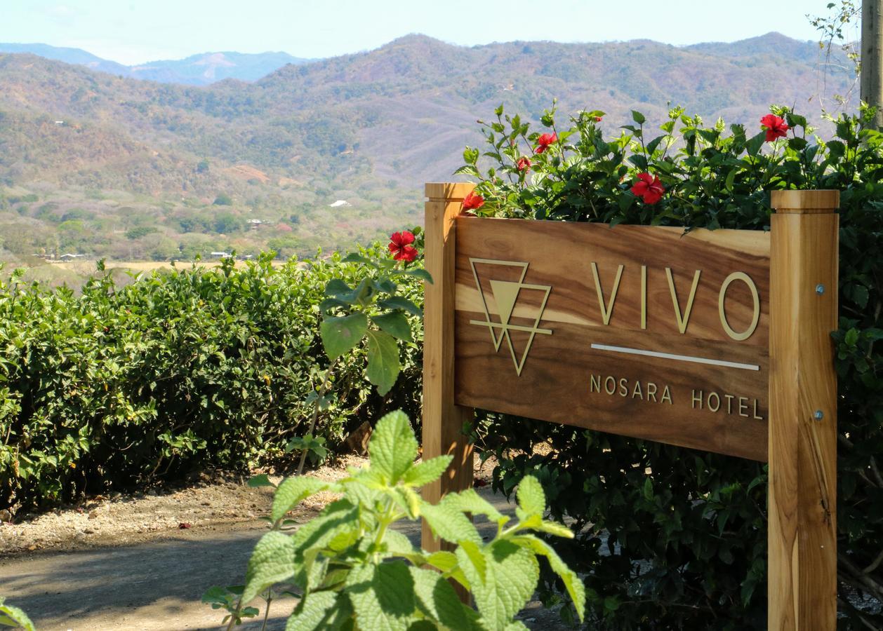 Vivo Nosara Hotel Εξωτερικό φωτογραφία